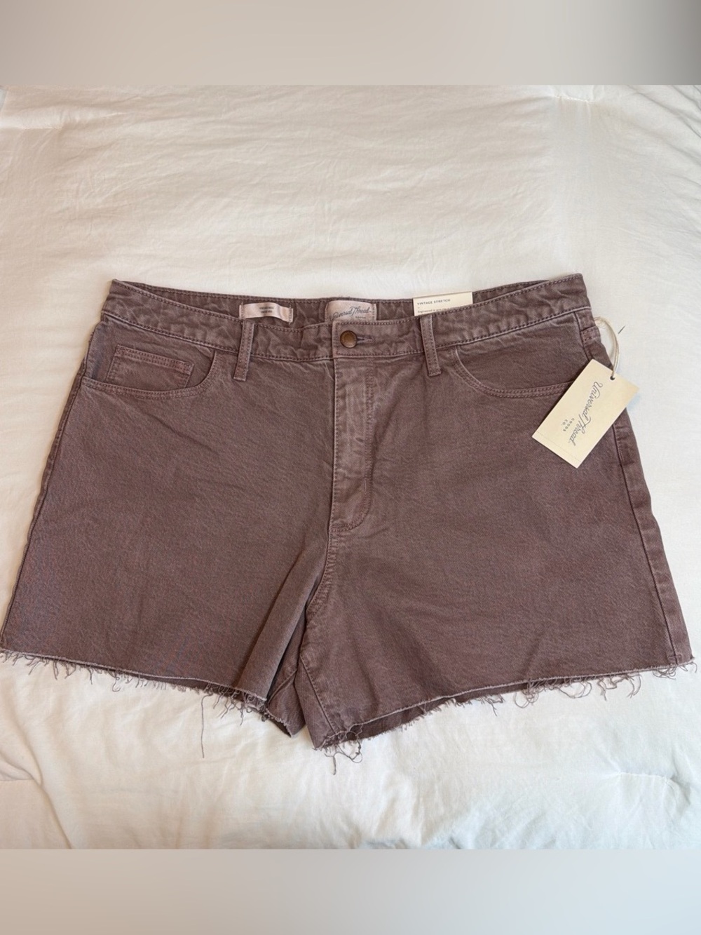 Universal Thread Dusty Mauve Cotton High-Rise Raw Hem Denim Shorts